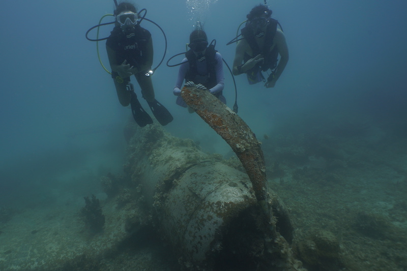 Using autonomous underwater vehicles that provide high-resolution sonar images of the sea floor, 14 undergraduates spent the winter session searching the waters of Palau, an island nation in the Western Pacific, to locate and repatriate missing World War II servicemembers. 