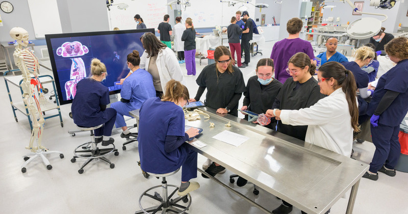 In the College of Health Sciences’ Human Anatomy Lab, students perform cadaver dissections--a unique learning opportunity for pre-med, physical therapy, athletic training, and kinesiology students rarely found outside of medical school.