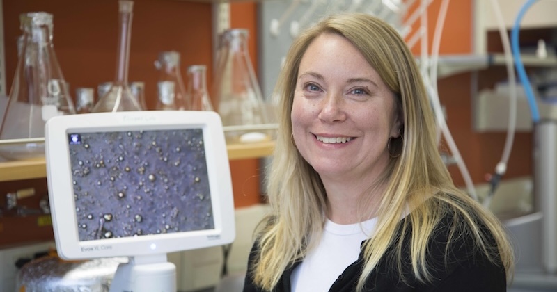 Rebecca Klaper’s appointment as Dean of UD’s College of Earth, Ocean and Environment begins Sept. 1, 2026.