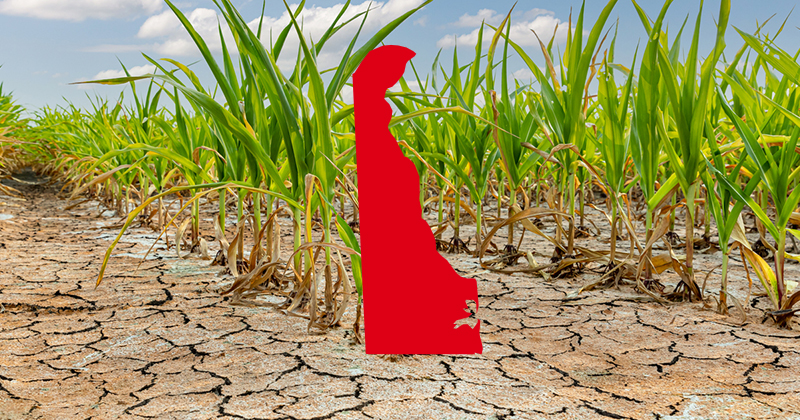 Is Delaware experiencing a flash drought?