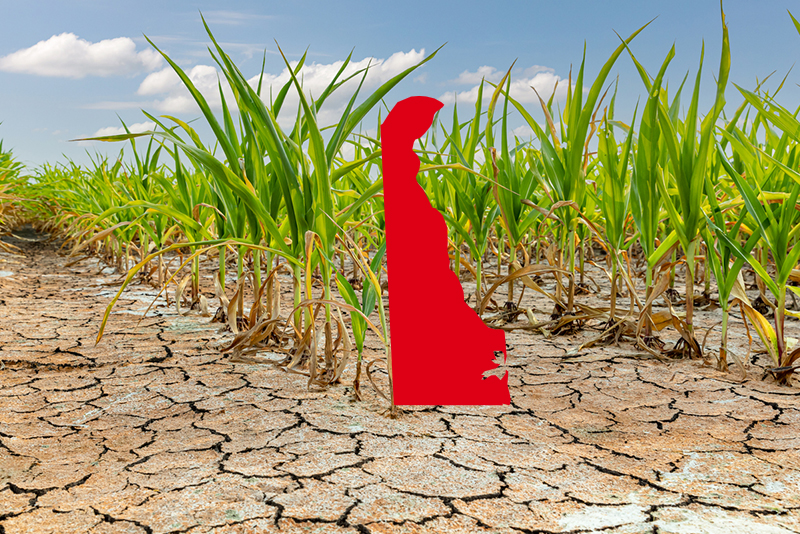 New UD-developed water tracker tool shows groundwater levels in the First State