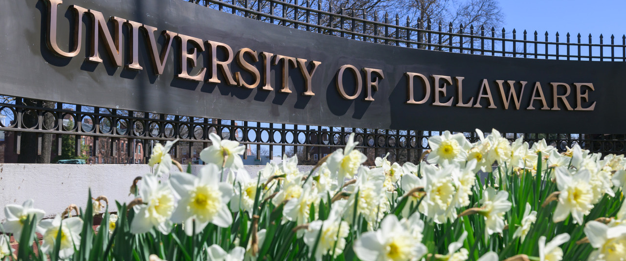 Spring campus beauty