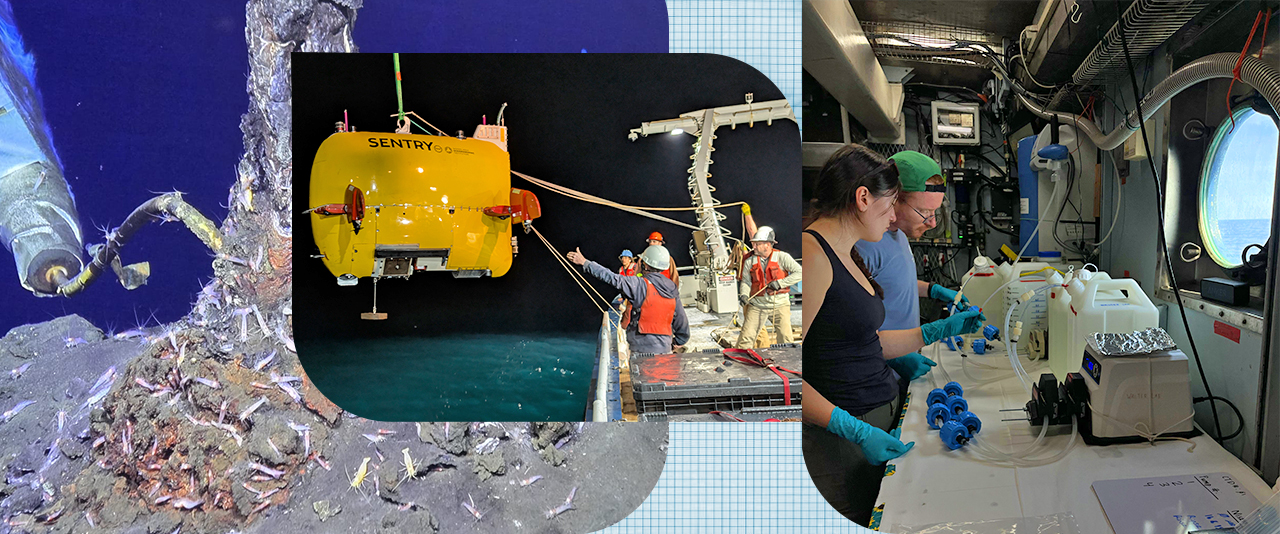 Researchers from the University of Delaware’s College of Earth, Ocean and Environment helped lead the charge of underwater discovery in 2025, leading research cruises that each employed one of the three underwater vehicles currently operated by the National Deep Submergence Facility (NDSF). These expeditions ranged from the East Pacific Rise in the Pacific Ocean to the Mid-Atlantic Ridge in the Atlantic.