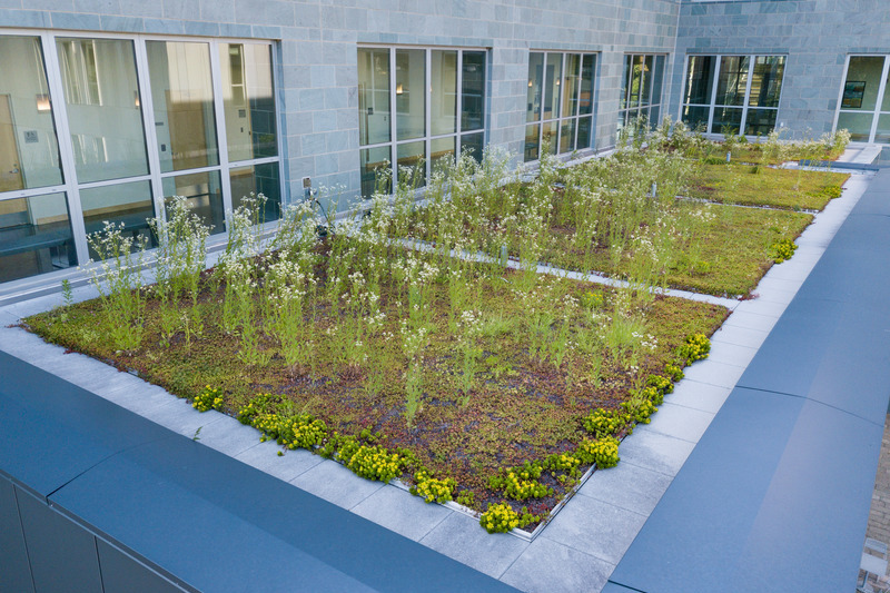 UD reenergizes sustainability initiatives