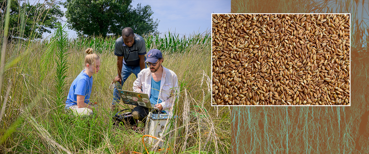 Joshua Thompson from the Massachusetts Institute of Technology works with Danielle Pryzwara and Mololuwa Abe from the University of Delaware to measure the electrical resistance of Kernza and soil, to help them understand what soil looks like across the field and what that might mean for how well crops can grow. 