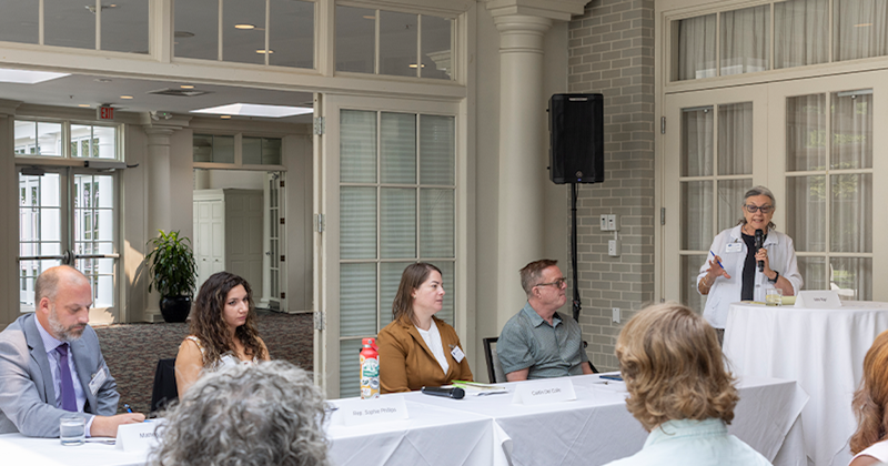 A photo featuring a panel of speakers featured at the DE Homelessness Conference 2026