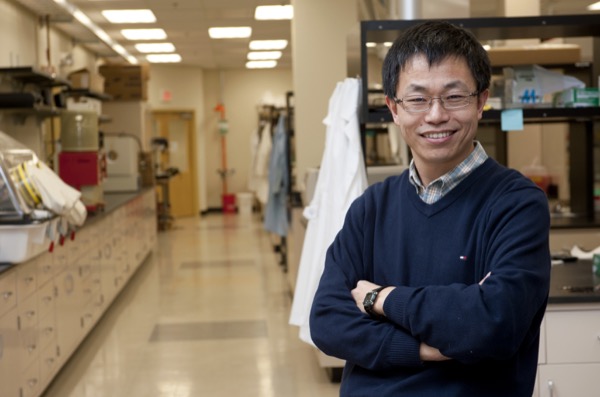 Yushan Yan, Professor, Chemical and Biomedical Engineering