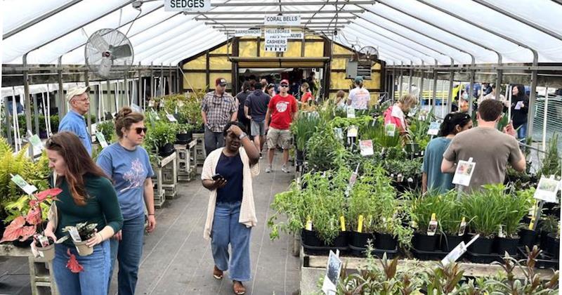 People browse through a plant sale in a greenhouse.