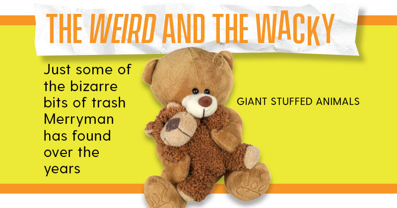 Weird and Wacky Trash - Giant Teddy Bear