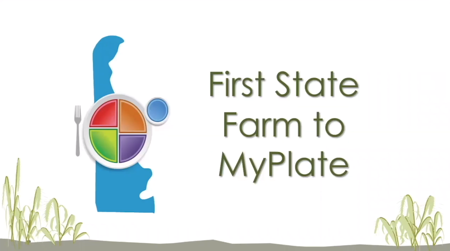 An image that shows Delaware and a plate and says "First State to My Plate"