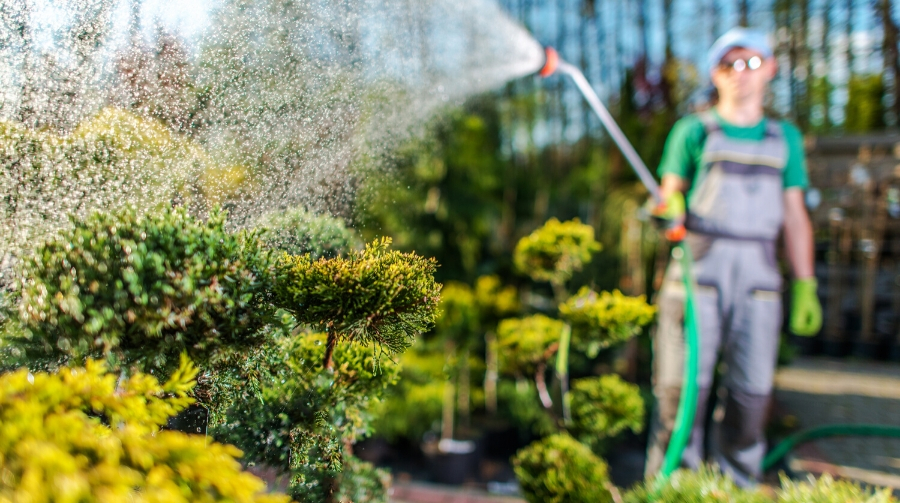 A photo of a person watering plants with a watering wand