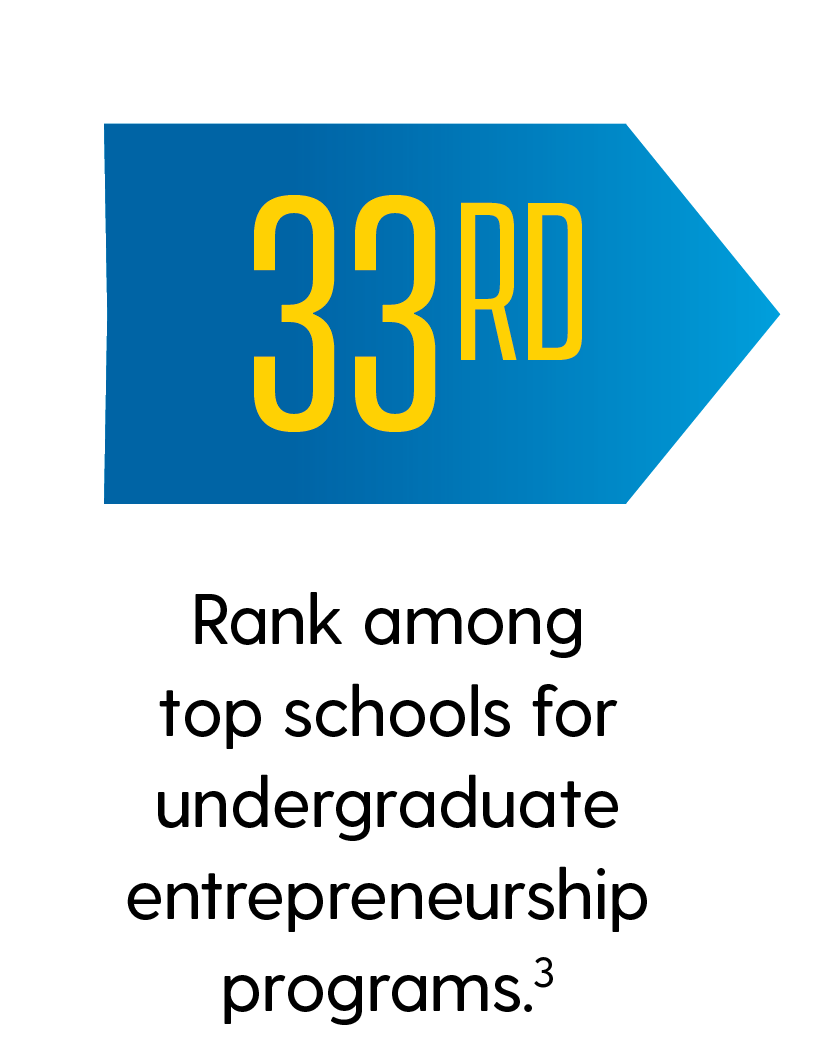 33rd: Rank among top schools for entrepreneurship. (Source: Princeton Review)