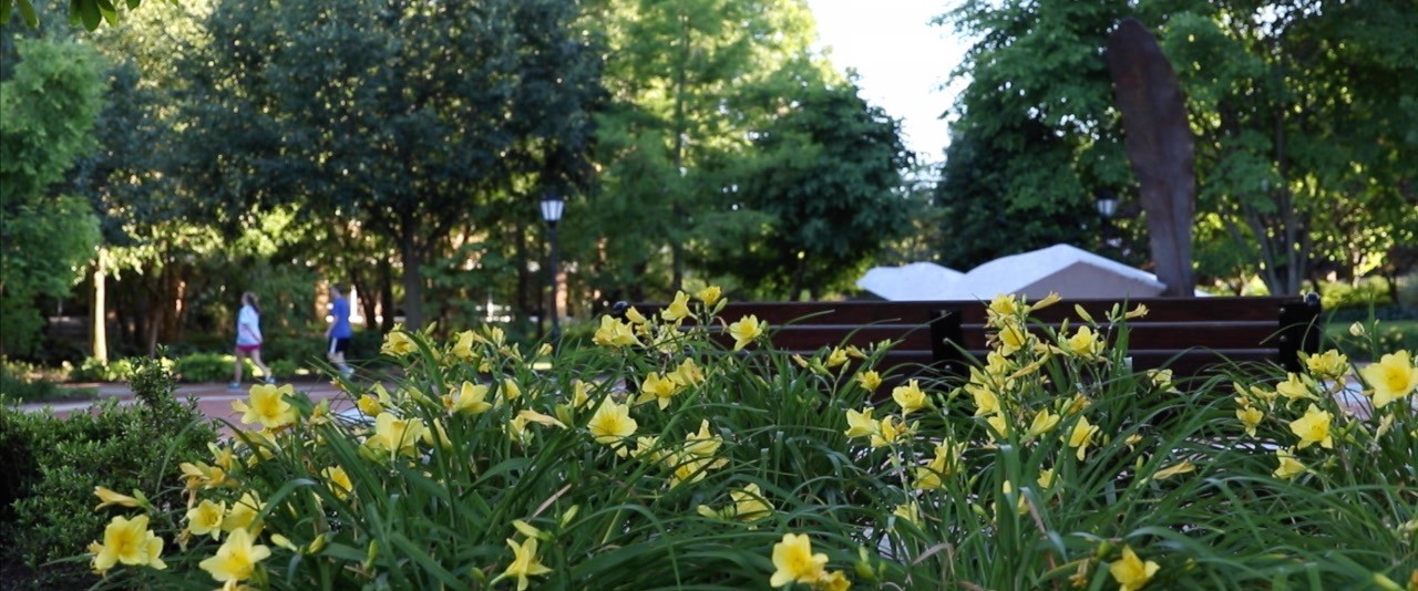 UD campus in the summer
