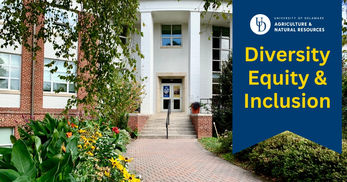 A photo of the front of Townsend Hall in summer with a banner that reads "Diversity, Equity and Inclusion."