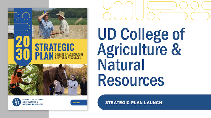 A thumbnail preview of the first slide in the Strategic Plan slide deck.