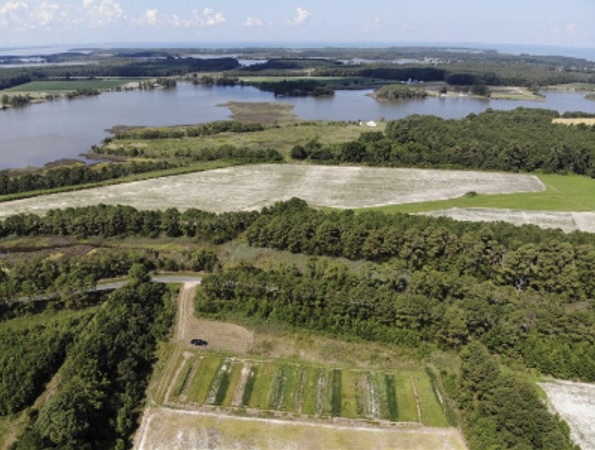 crop fields beside a body of saltwater