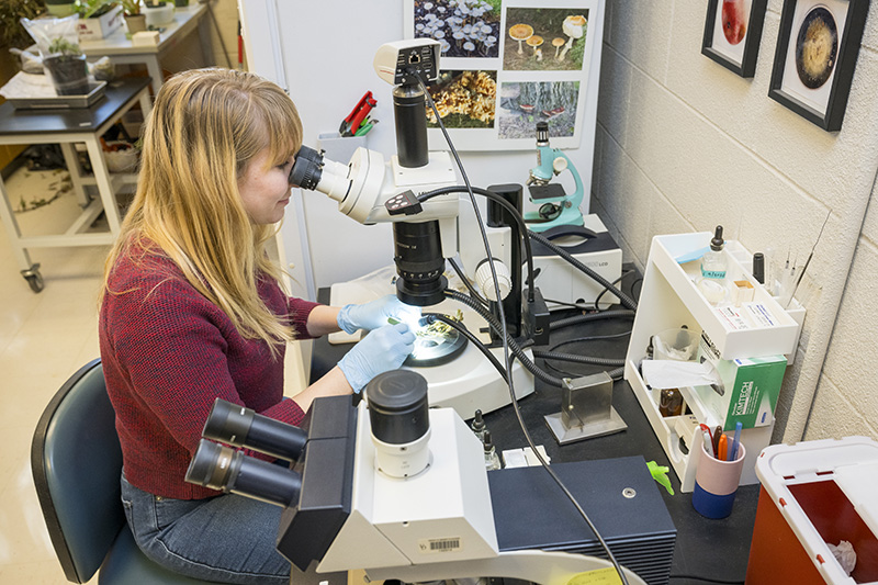 Jill Pollok peers into a microscope