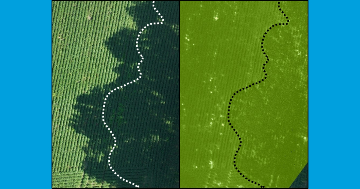 Figure 6: On the left are tree shadows in a visible image, creating patterns in the NDVI image on the right, which takes up a smaller portion than the shadow cast in the visual image.