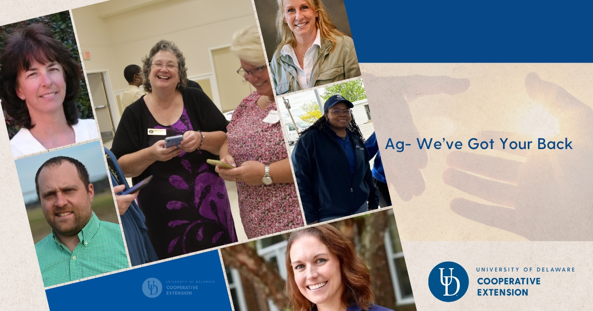 A variety of health and well being agents