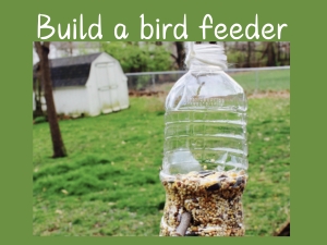 Build a bird feeder image for April CloverBud Activity