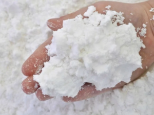 Button for the December 2023 Activity