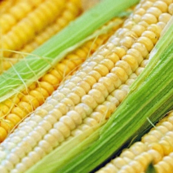 Corn