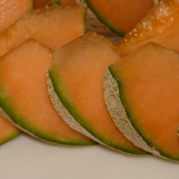 Cantaloupe