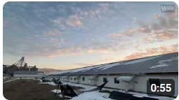 Biosecurity to protect poultry during HPAI