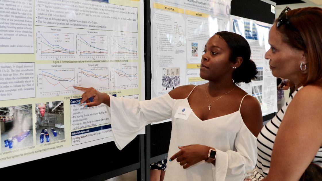 Photo of a student showing research