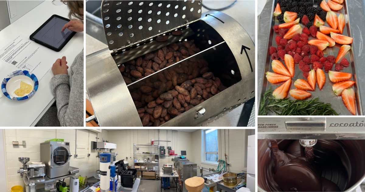 A collage of lab equipment and projects including chocolate making, fruit drying and taste testing.