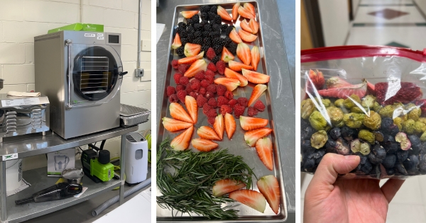 The Pharmaceutical Pro Freeze Dryer and freeze-dried fruit.