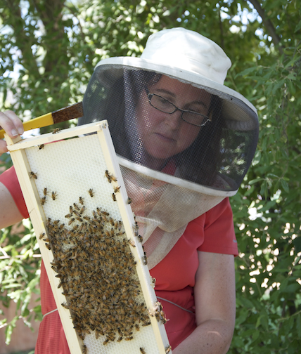 Debbie Delaney shoeing off a bee frame.