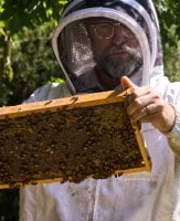 Dan showing off a bee frame.