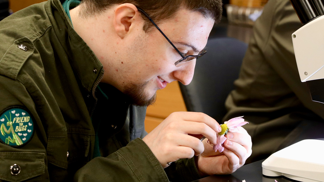 2019-02-18 | CANR_ENWC423_Flower-Dissection – Version 2