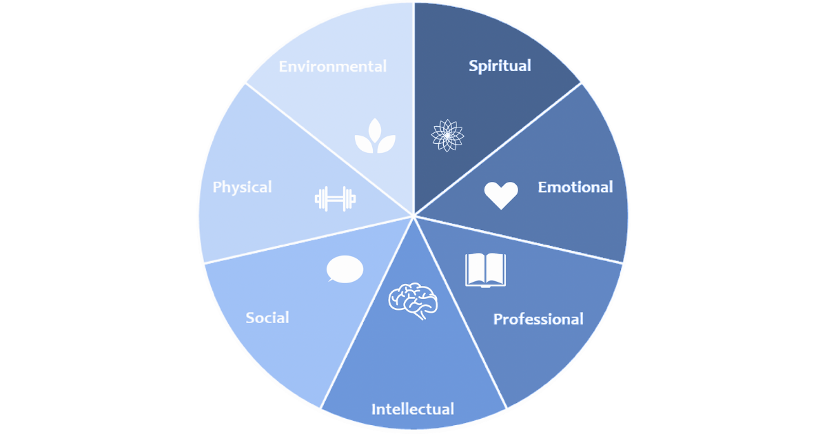 A pie chart divided into seven parts: Environmental, Spiritual, Emotional, Professional, Intellectual, Social and Physical