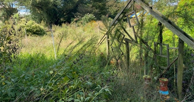 The disintegrating entrance to the children’s garden and, straight ahead in the background, a weed-filled vegetable garden