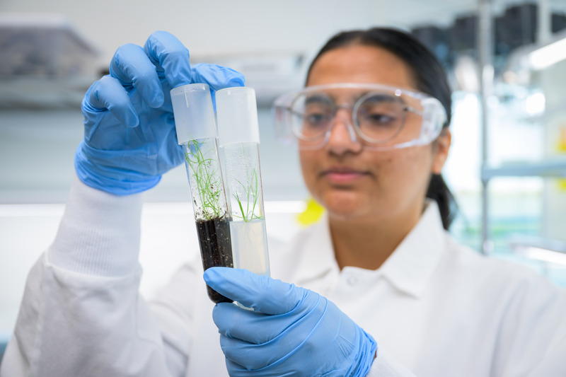 Charanpreet Kaur, a graduate of the UD plant and soil sciences doctoral program, analyzes samples in the laboratory.