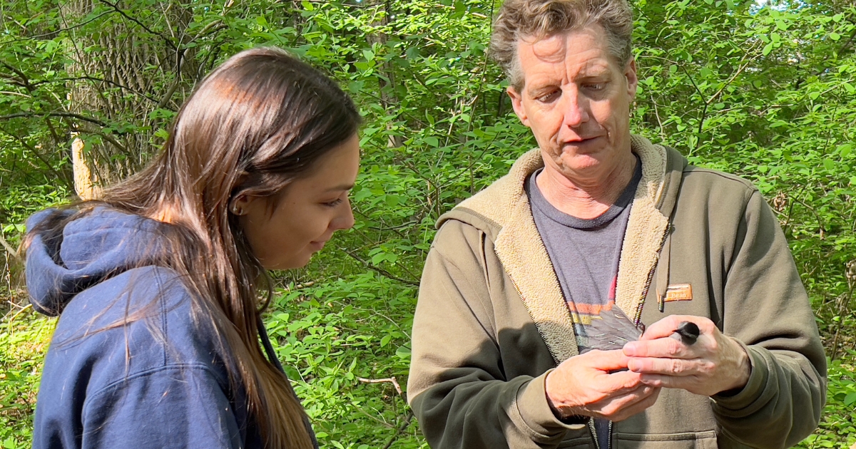 Professor Greg Shriver teaches bird handling techniques in Roland Roth Ecology Woods