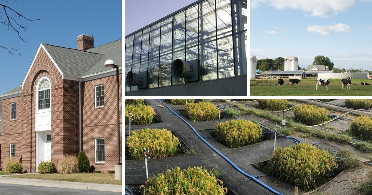 A collage of facilities, including the Carvel Center, Rice paddies and more!