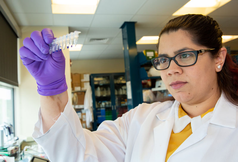 Student looking at a row of sample tubes