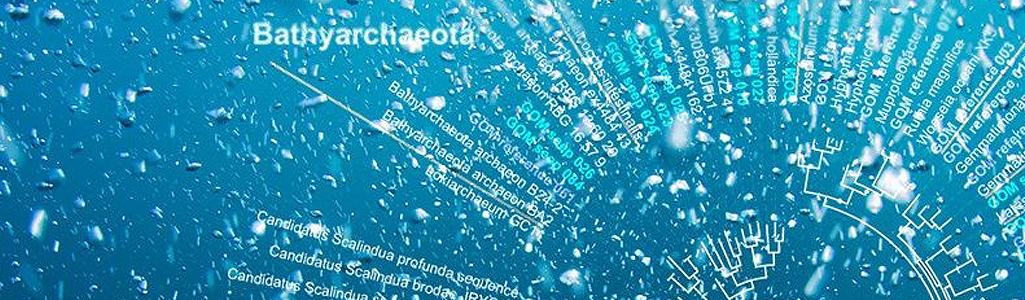 Bioinformatics and Computational Biology