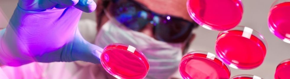 Microbiology student