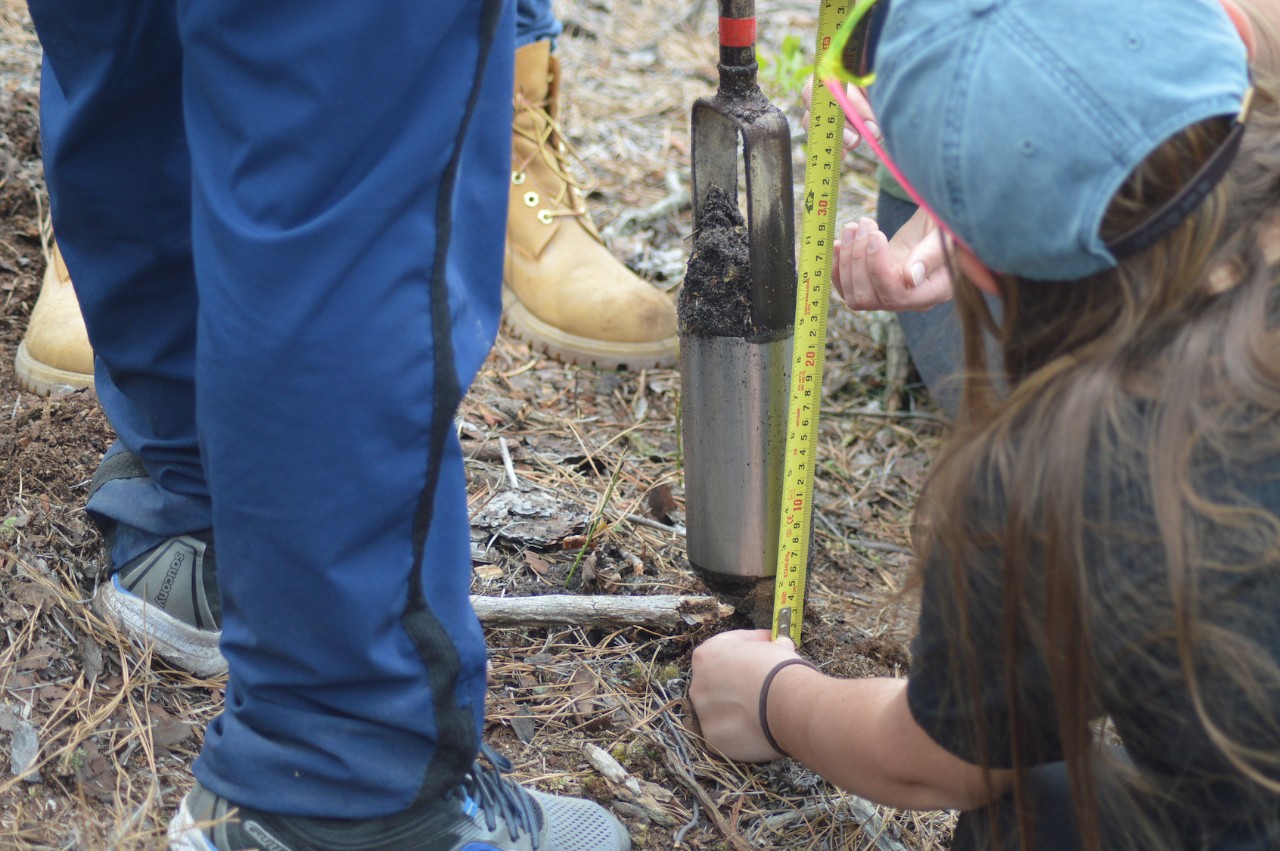 Earth sciences majors in the field