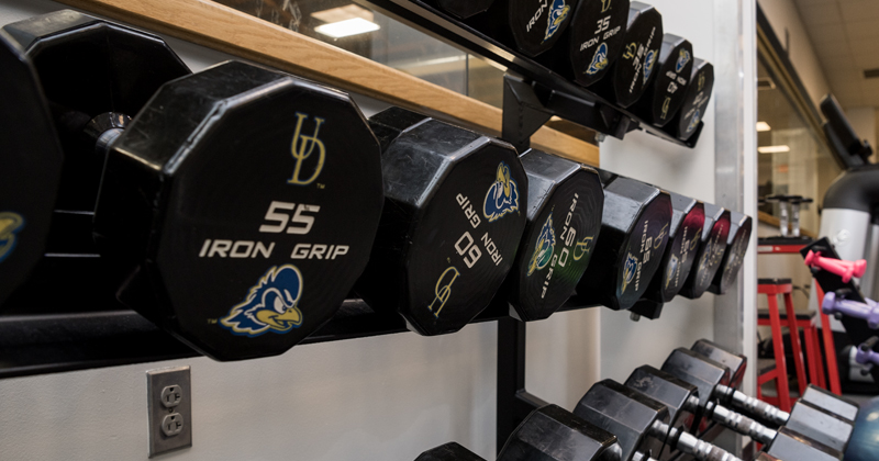 weights in the Lil Bob