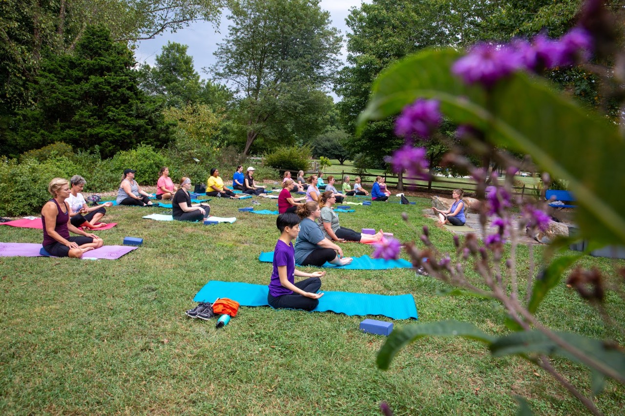 employees doing yoga on the Green at UD