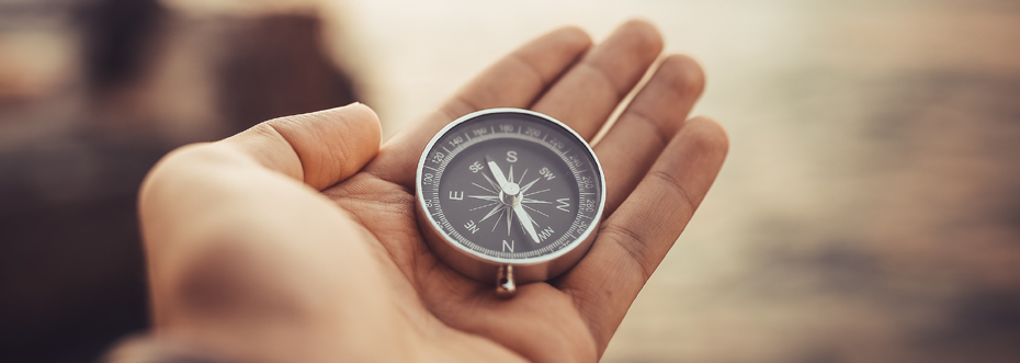 person holding a compass