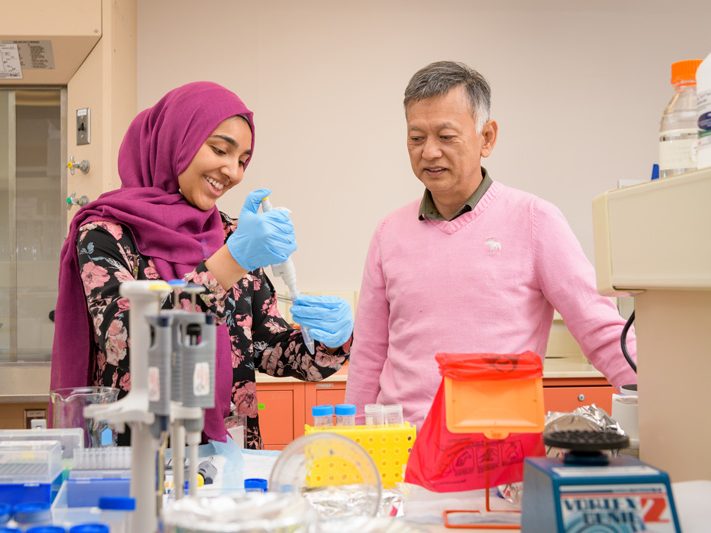 BIO-Peracha-Osteochondrodysplasia_Research-052218 Hira Peracha is an undergraduate (class of 2018) who has been helping to conduct research on osteochondrodysplasia (skeletal dysplasia) with the Nemours/Alfred I. duPont Hospital for Children in the lab of Dr. Shunji Tomatsu. Osteochondrodysplasia is a rare (1 in 5,000) family of developmental disorders of the bone and cartilage which can cause a wide range of health issues in patients, including limited mobility and even mortality. - (Evan Krape / University of Delaware)
