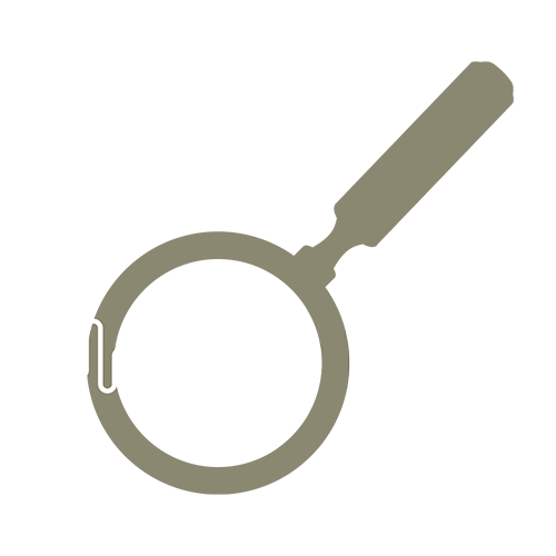 Magnifying Glass Icon with voice waveform