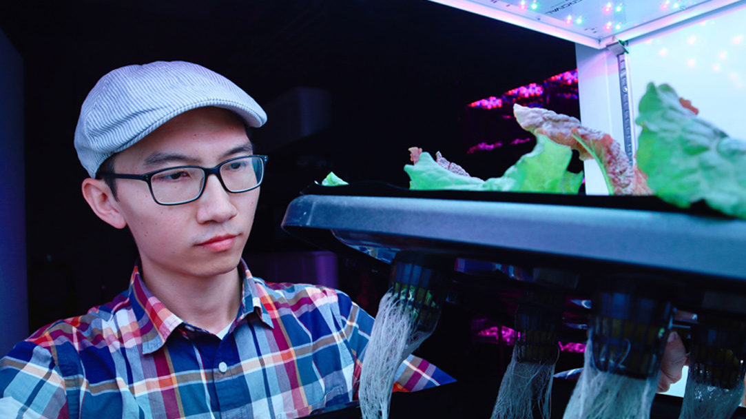 UD's Qingwu Meng looking at some of the food grown in space-simulated environments.