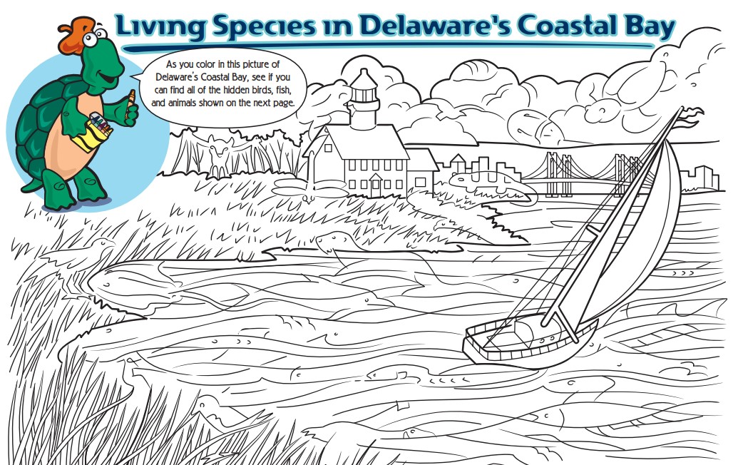 A link to download the Critters of Delaware Bay activity
